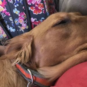 Meet your Posher, Kaylee